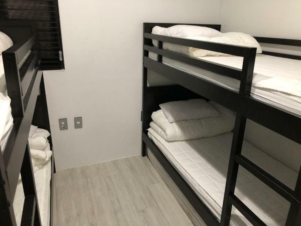 Amazon Guesthouse Сеул Екстериор снимка