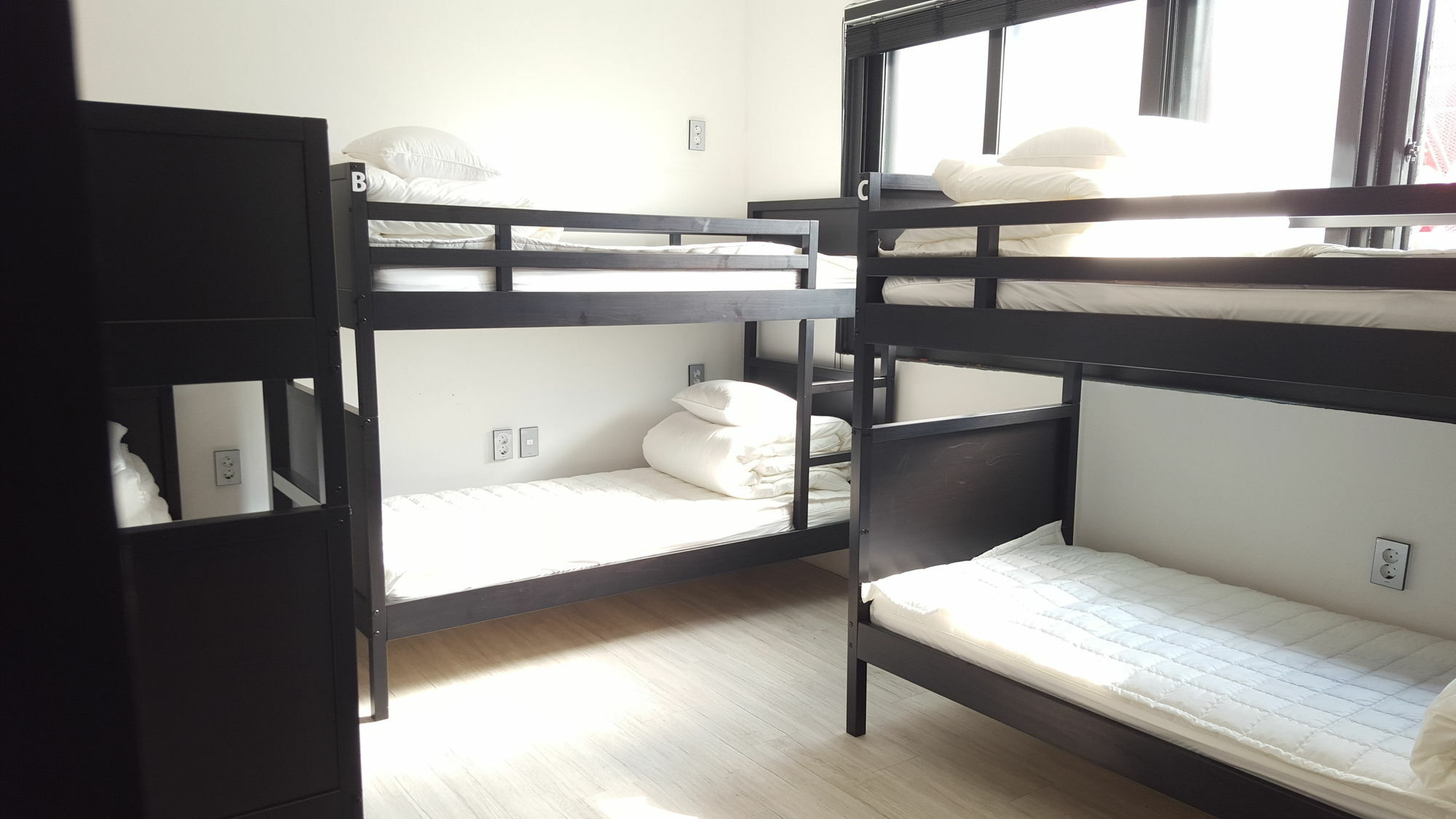 Amazon Guesthouse Сеул Екстериор снимка