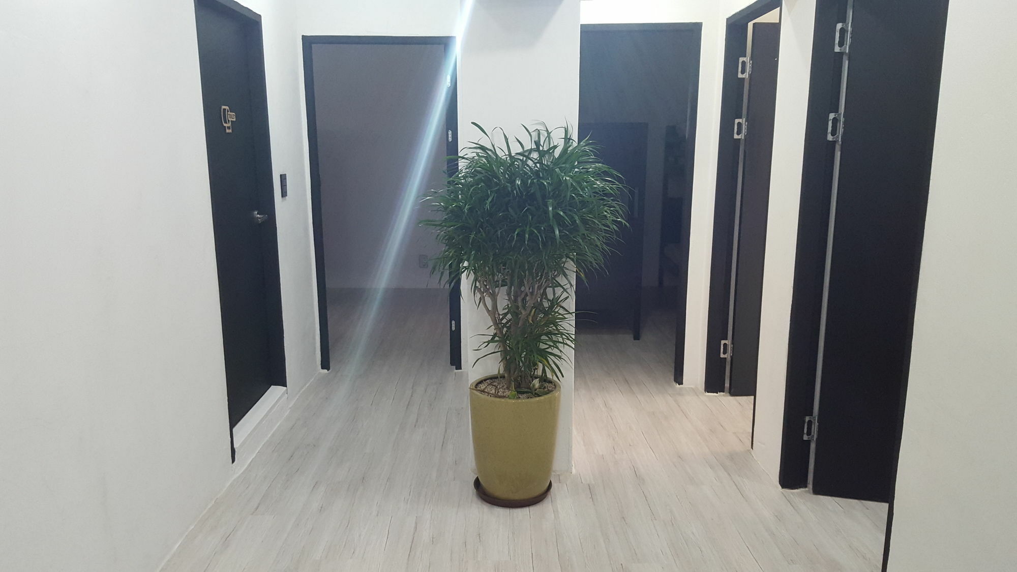 Amazon Guesthouse Сеул Екстериор снимка