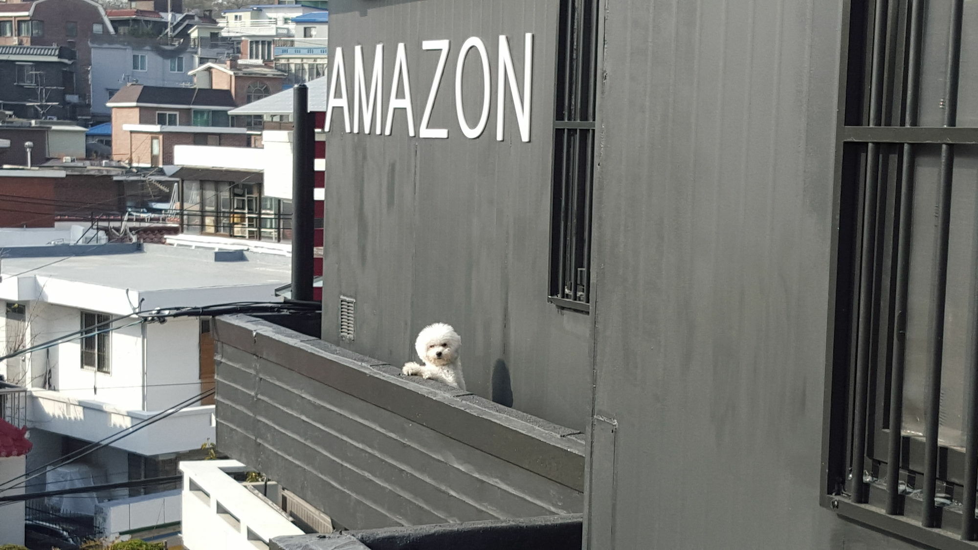 Amazon Guesthouse Сеул Екстериор снимка