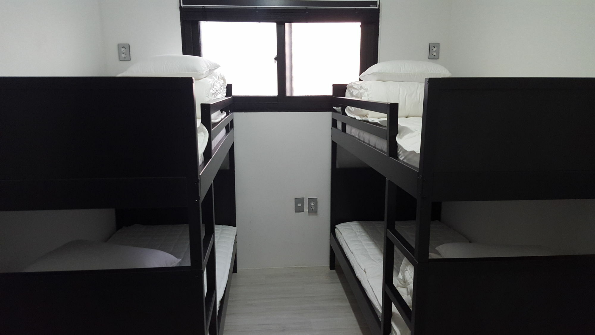 Amazon Guesthouse Сеул Екстериор снимка